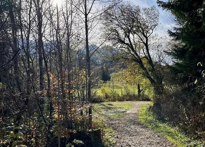 Cozy In Inzell