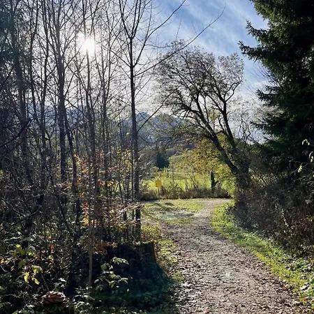 Cozy In Inzell